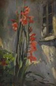 Gladiolus Vid Husvagg