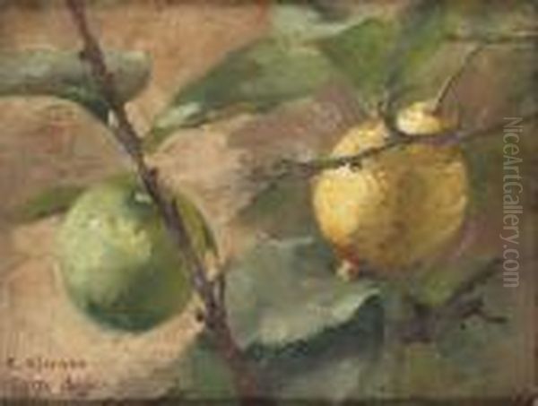 Citroner - view 1