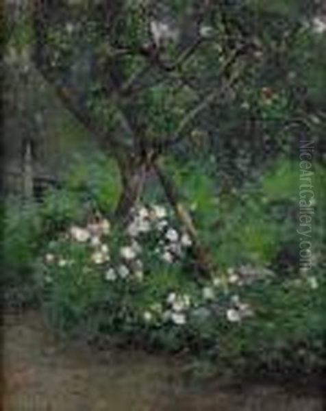 Tradgard Med Appeltrad Och Blommande Rosor - view 1