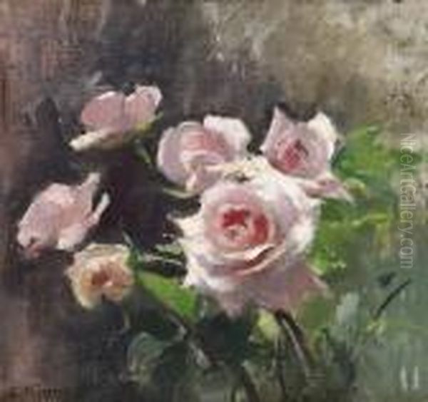 Rosa Rosor - view 1