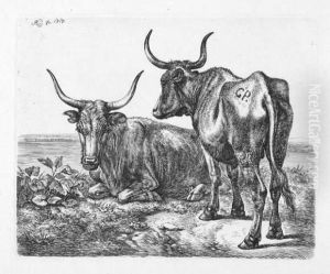 Die Zweite Wiener Folge Von Sechs by Johan Adam Klein