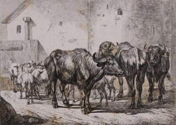 Four Prints Depicting Animals - view 1