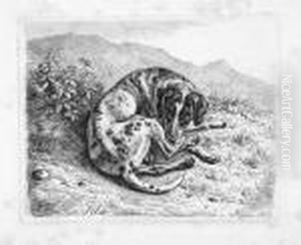 Zweite Folge Von Sechs Blatt Hunde. - view 1