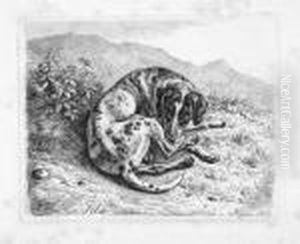 Zweite Folge Von Sechs Blatt Hunde. by Johann Adam Klein