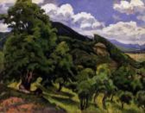 Landscape In Nagybanya - view 1