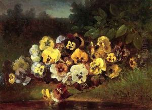 Pansies