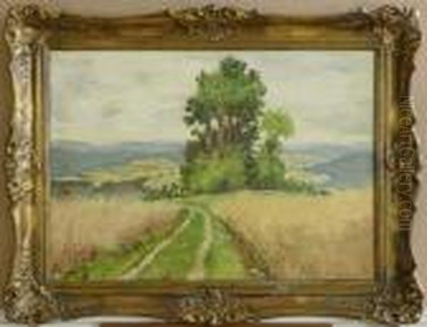 Mittelgebirgslandschaft Mit Getreidefeld. - view 1