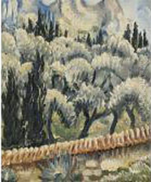 Olivenbaume, Mausanne, Cassis - view 1
