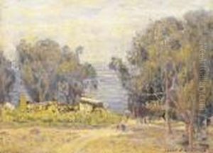Old Laguna (foot Of Anita Street)