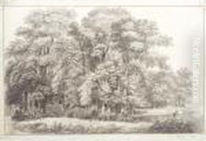 The Edge Of A Forest, With A Farmer Working The Land by Johann Christian Klengel