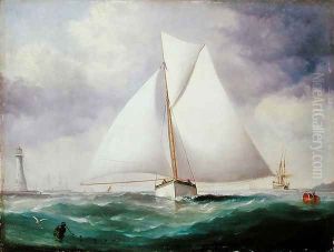 The Spinnaker Sail by Nicholas Matthews (1816-51) Condy