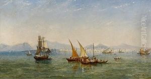 Dhows And Other Shipping Off A Continentalport Dhows And Other Shipping Off A Continentalport