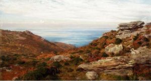 A West Cornwall Moor