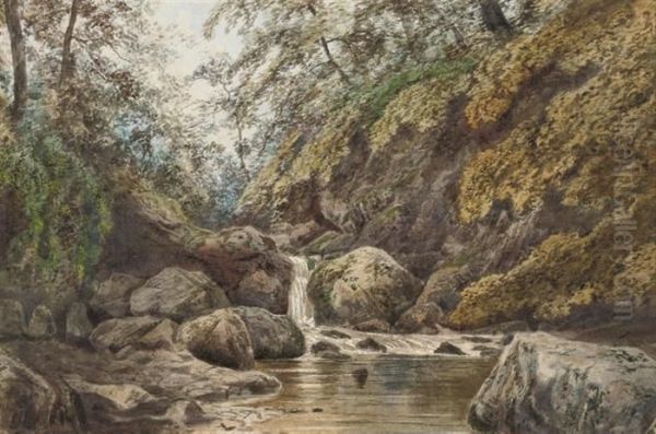 A Peaceful Spot In The Woods - view 1