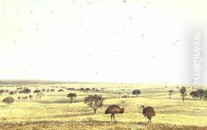 Panorama of Challicum, No.II c.1850 by Duncan Cooper
