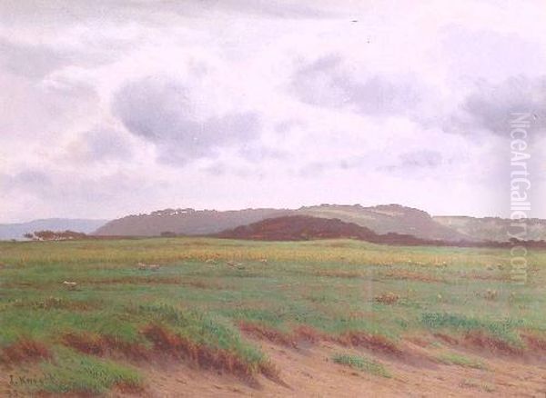 Conway Marsh - view 1