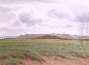 Conway Marsh by Joseph Knight