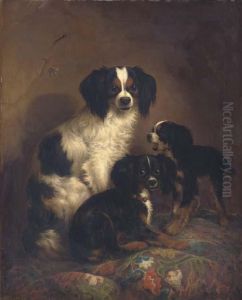 Three King Charles Spaniels