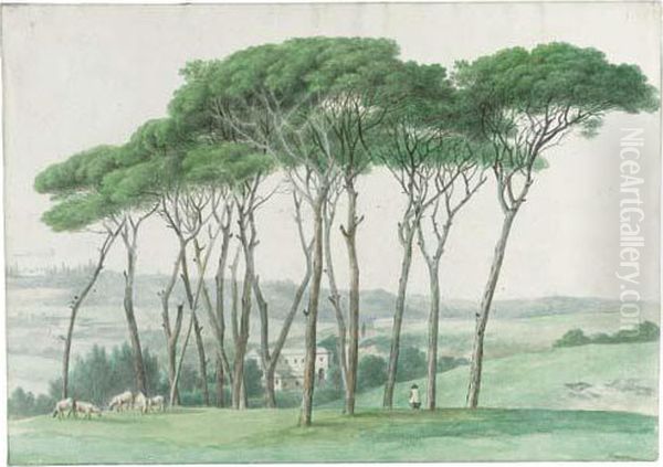 Pine Trees On A Rise At Monte Mario, Near Rome - view 1