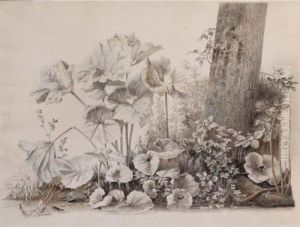 Burdocks, Campions And Brambles By A Treetrunk On A River Bank by Joseph Augustus Knip