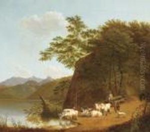 Oxen Resting By The Lakeside, Italy