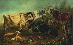 Schafe, Kuhe, Pferd, Esel Und
 Enten Auf Der Weide