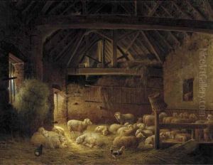 A Flock Of Sheep In A Stable A Flock Of Sheep In A Stable
