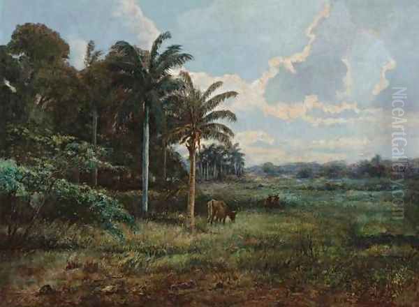 Paisaje - view 1