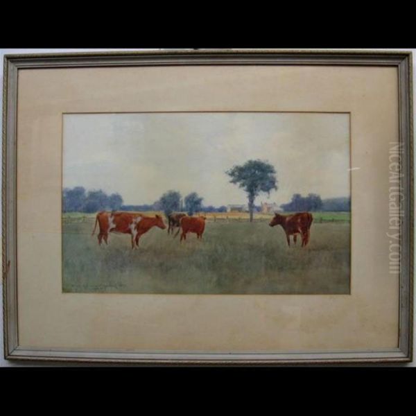 Grazing Cattle - view 1