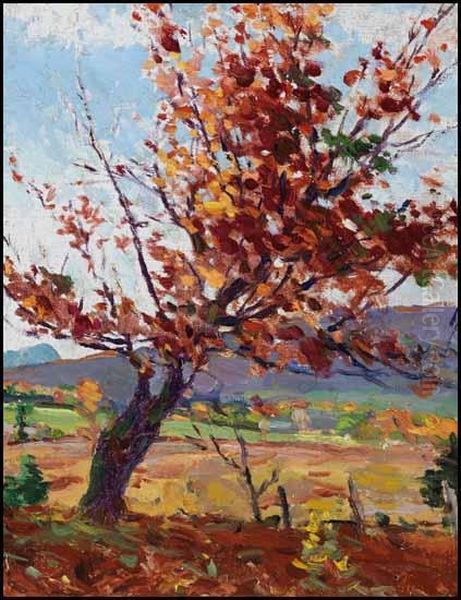 Tree In Autumn - view 1