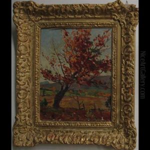 Autumn Tree
