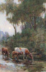 Untitled - Cows At Dusk Untitled - Cows At Dusk