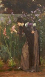 Gladiolas Gladiolas