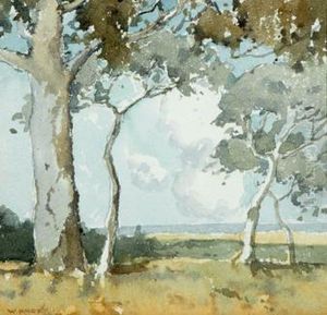 Gumtrees In Landscape by William Dunn Knox