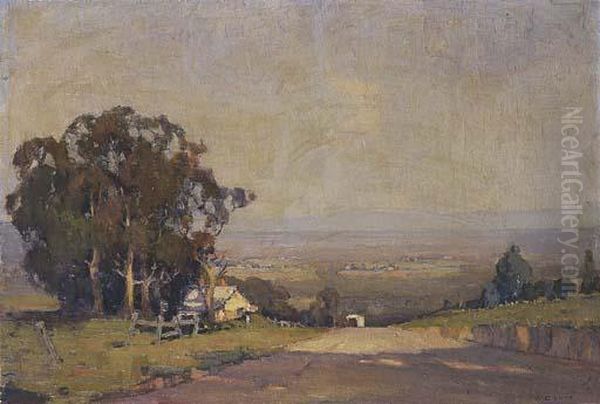 Towards The Dandenongs - view 1