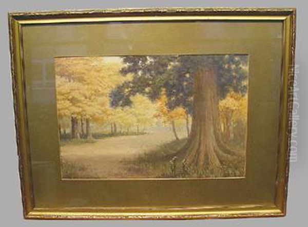Country Lane, Autumn - view 1