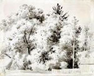 Baumlandschaft Und Zwei Gebirgslandschaften