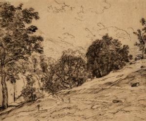 Hugelige Landschaft Mit Einem Waldchen Am Hang