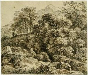 Felsige Waldlandschaft Mit Zwei Wanderern