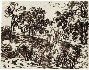 Waldlandschaft