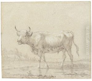 Junges Rind by Janbaptist Ii Kobell