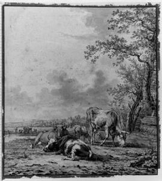 Cattle Resting And Grazing Near A Stream - view 1