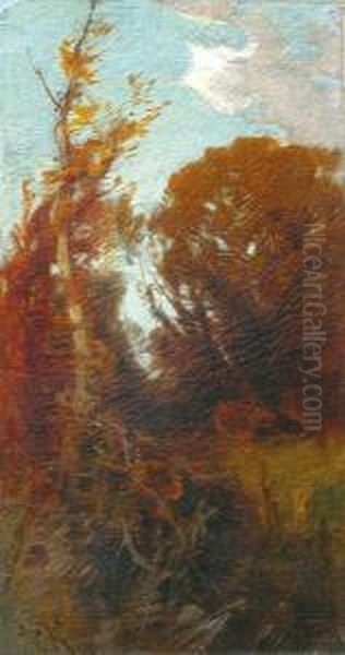 La Foret - view 1