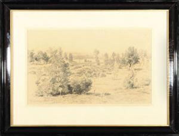 Pejzaz Letni - view 1