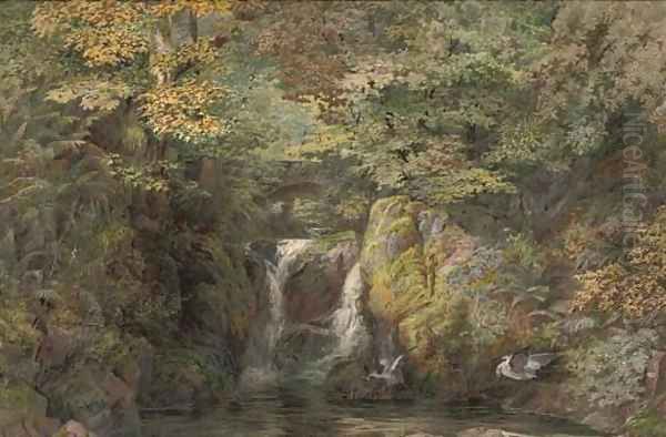 Rydal Fall, Westmoreland - view 1