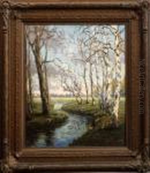 Birches By A Brook - view 1