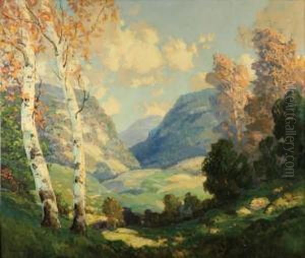 Birch Trees In A Summer Landscape - view 1