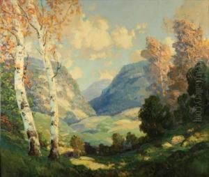 Birch Trees In A Summer Landscape