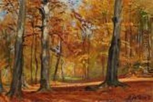 Waldlichtung