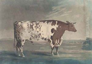 The Ketton Ox, by Robert Pollard by George Cuitt